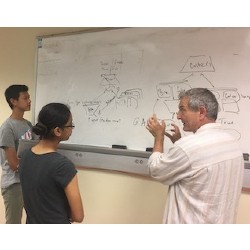 UC San Diego music and computer science professor Shlomo Dubnov (right) with co-author and high school student Conan Lu (far left), with fellow COSMOS student: mapping the architecture of a machine learning tool to transfer one sample of music from one style to another.